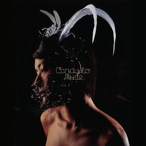 七色猫免费观看电视剧影视大全
