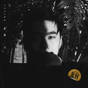 七色猫免费观看电视剧影视大全
