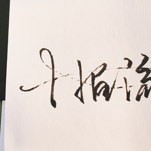 七色猫免费观看电视剧影视大全
